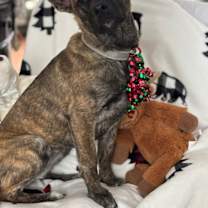 Thumbnail photo of Anni #3