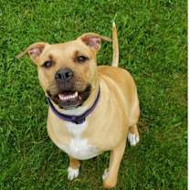 Thumbnail photo of Lola #1