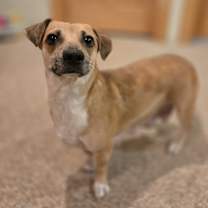 Thumbnail photo of Hermosita #1