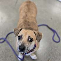 Thumbnail photo of Hermosita #3