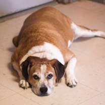 Thumbnail photo of Skittles #2