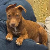 Thumbnail photo of Kat #2