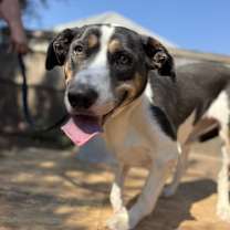 Thumbnail photo of Trinity #3