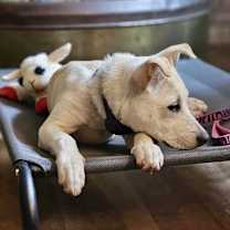 Thumbnail photo of Demi #2