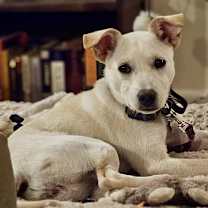 Thumbnail photo of Demi #3