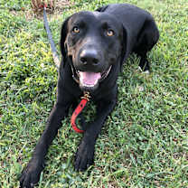 Thumbnail photo of Jett #2