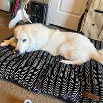 Thumbnail photo of Zeus #2