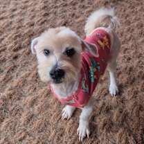 Thumbnail photo of Runo #1