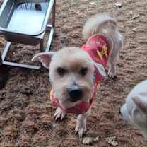 Thumbnail photo of Runo #4