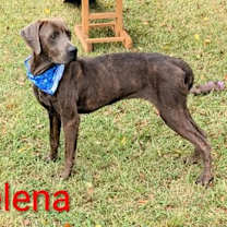 Thumbnail photo of Selena #3