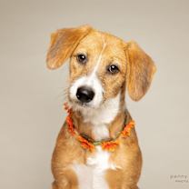 Thumbnail photo of Reese #1