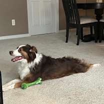 Thumbnail photo of Cooper #1