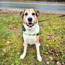 Thumbnail photo of Buddy #2