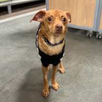 Thumbnail photo of Kane #2