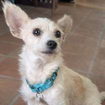 Thumbnail photo of Tinker #4