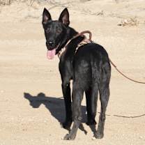 Thumbnail photo of TEX #4