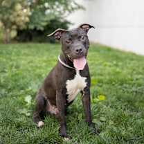 Thumbnail photo of Chance #1