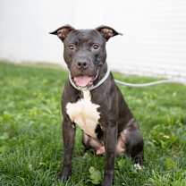 Thumbnail photo of Chance #4