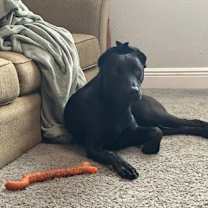 Thumbnail photo of WEDNESDAY #2