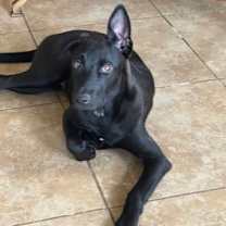 Thumbnail photo of WEDNESDAY #3