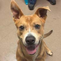 Thumbnail photo of Big Bear #2