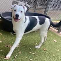 Thumbnail photo of Chance #1