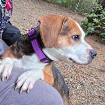 Thumbnail photo of Matilda #3