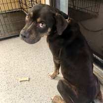 Thumbnail photo of Da Mack  #2