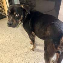 Thumbnail photo of Da Mack  #3