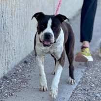 Thumbnail photo of Toni #3