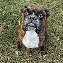 Thumbnail photo of Gabe #2