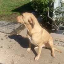 Thumbnail photo of Hunter #1