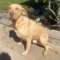 Thumbnail photo of Hunter #2