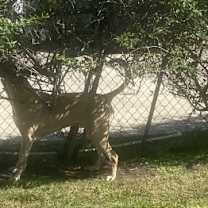 Thumbnail photo of Hunter #3