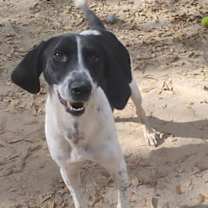 Thumbnail photo of BB #1