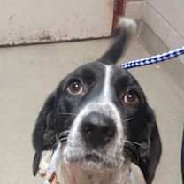 Thumbnail photo of BB #2