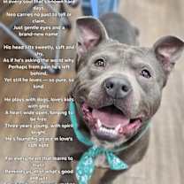 Thumbnail photo of Neo #4