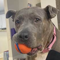 Thumbnail photo of MEERA #1