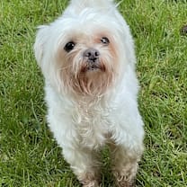 Thumbnail photo of CASPER #1