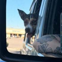 Thumbnail photo of Yale* #3