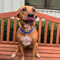 Thumbnail photo of Cinder #1