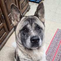 Thumbnail photo of Charlotte #1