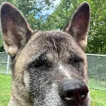 Thumbnail photo of Charlotte #2