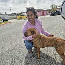 Thumbnail photo of My Fella Sweet Cinnamon Canela #2