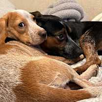 Thumbnail photo of Daiquiri #4