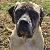 Thumbnail photo of Big Momma #3