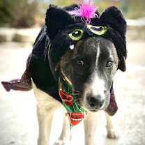 Thumbnail photo of Millie #2