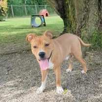 Thumbnail photo of Uncle Sam #2