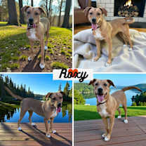 Thumbnail photo of Roxy #1