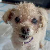 Thumbnail photo of Fanna ~ #3